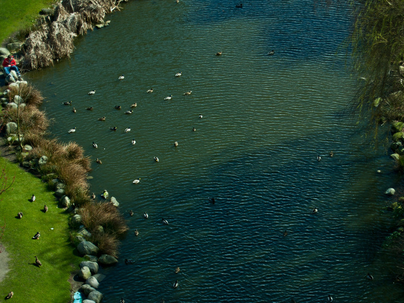 By the Pond