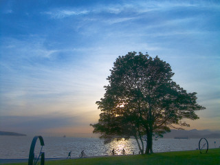 Seawall Art