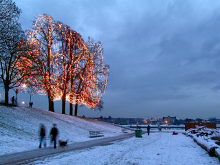 A Stroll Under the Lights