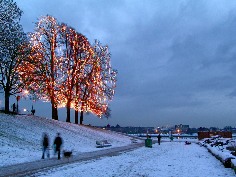 A Stroll Under the Lights