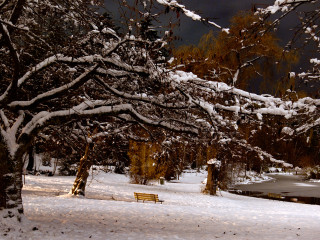 Bench at Winter’s Night 2