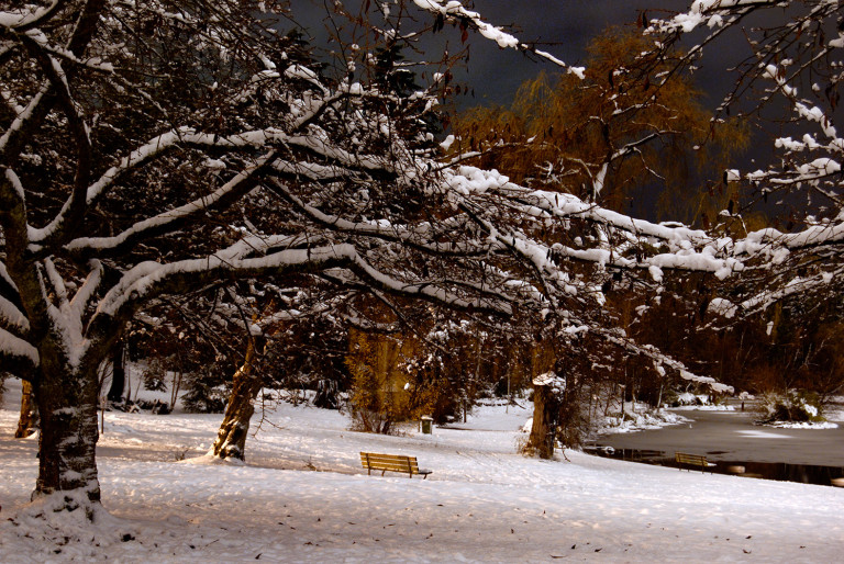Bench at Winter’s Night 2