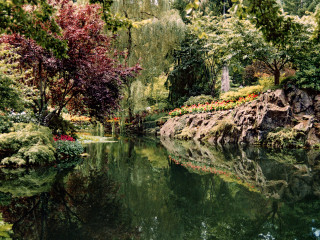 Garden Wonderland
