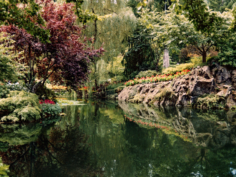 Garden Wonderland