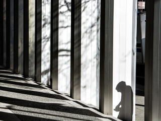 Lines