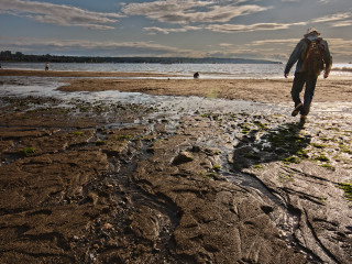 Walking Along the Shore