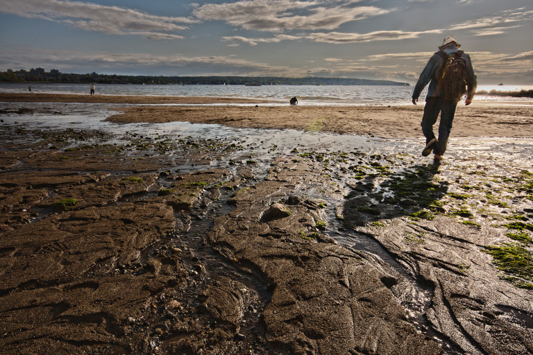 Walking Along the Shore