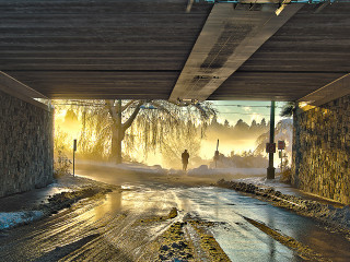Golden Light