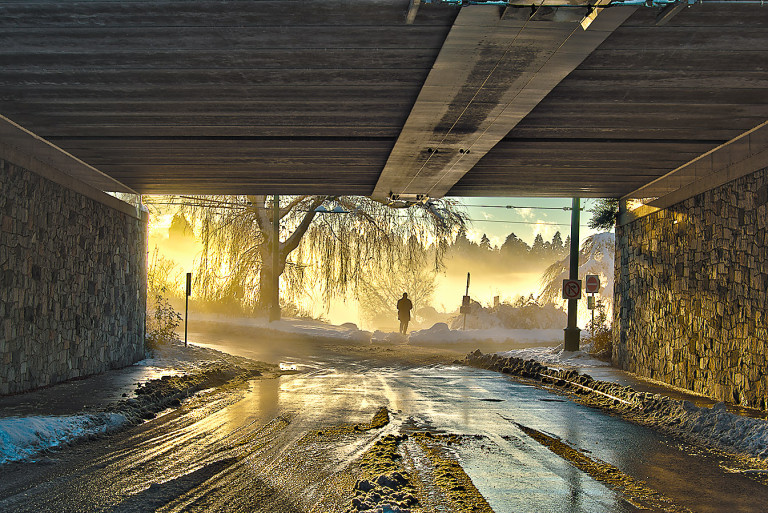 Golden Light