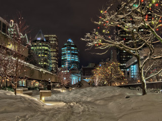 Christmas at the Law Courts