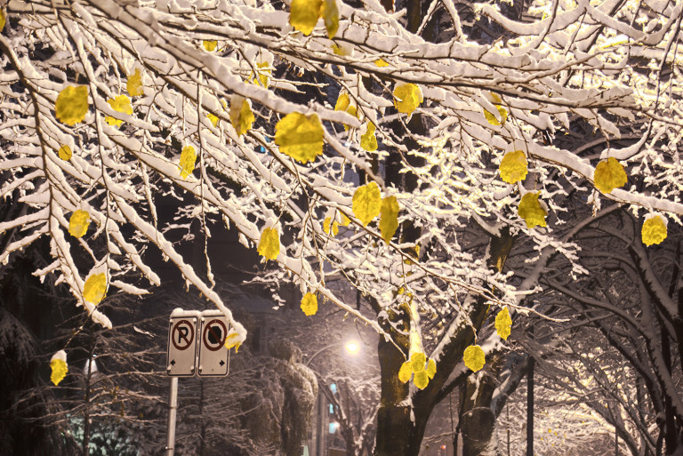 Frozen in Time