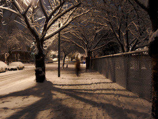 Solitude in the Snow