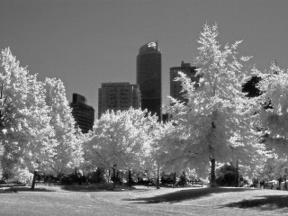 Nelson Park IR
