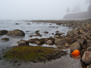 Orange Balloon Floating