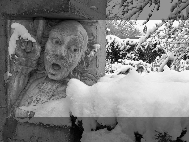 Shakespeare in Snow