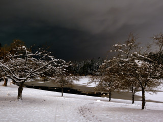 Stillness at Winter’s Night 1