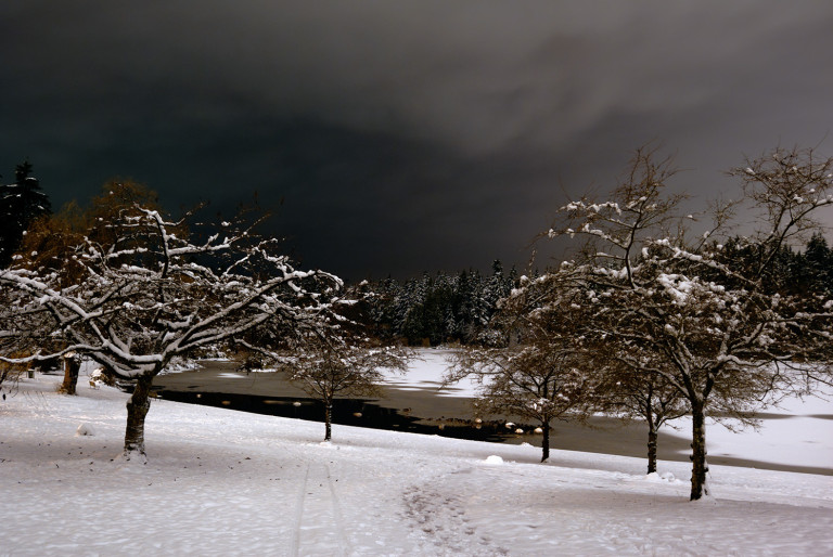 Stillness at Winter’s Night 1