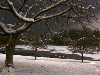 Stillness at Winter’s Night 2