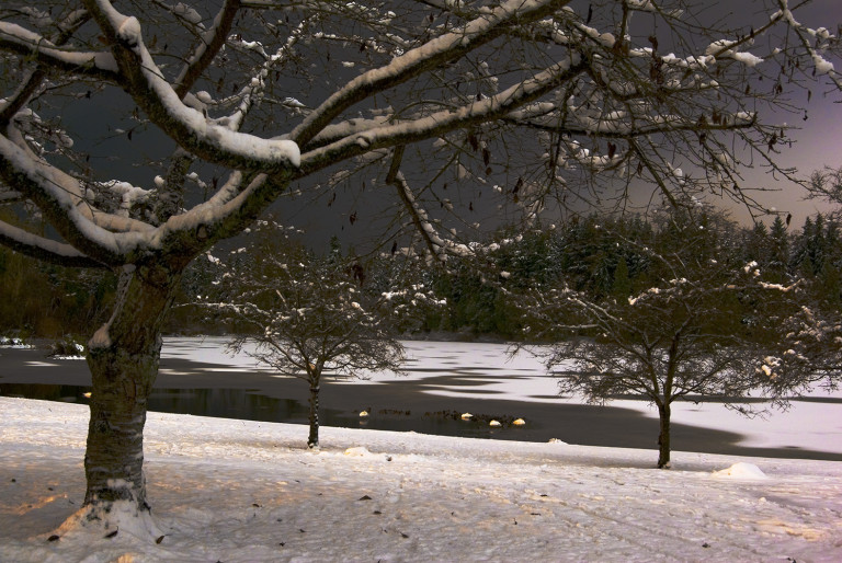 Stillness at Winter’s Night 2