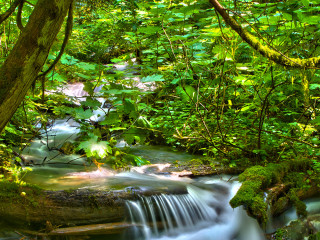 Small Waterfall at Bridal Veil Falls