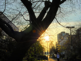 Walking in the Sunset Glow