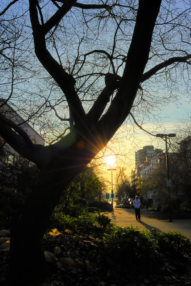 Walking in the Sunset Glow