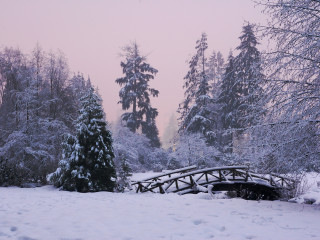 Dusk in Stanley Park #1