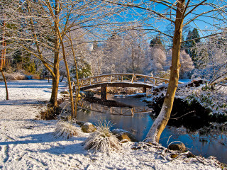 Wooden Bridge in Snow