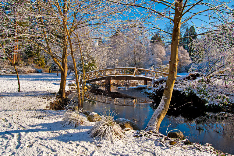 Wooden Bridge in Snow