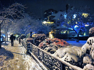 Evening Snow