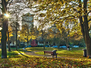 Fall Reading in The Park