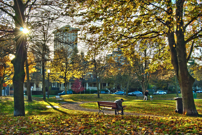 Fall Reading in The Park