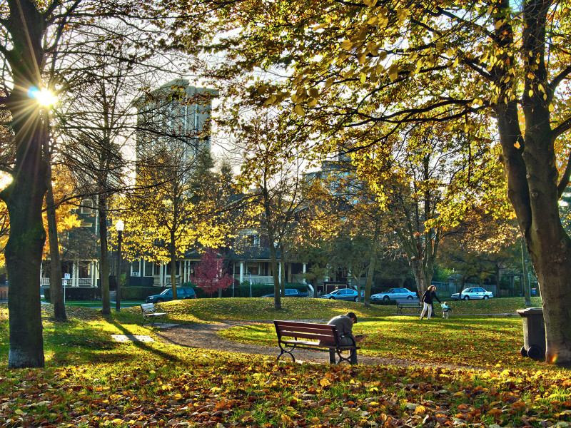 Fall Reading in The Park