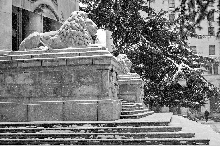 Guarding the Gallery