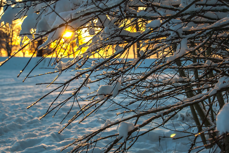 Sunset Peek a Boo in Stanley Park
