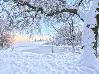 Winter Wonderland