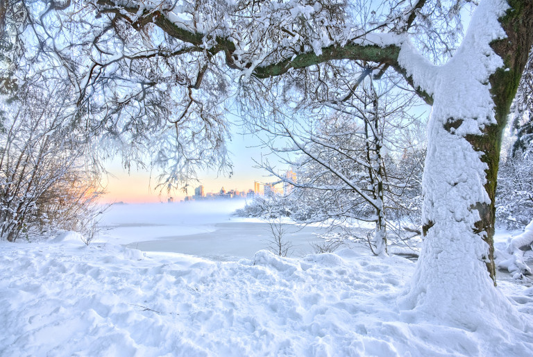 Winter Wonderland