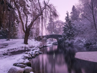 Wonderland