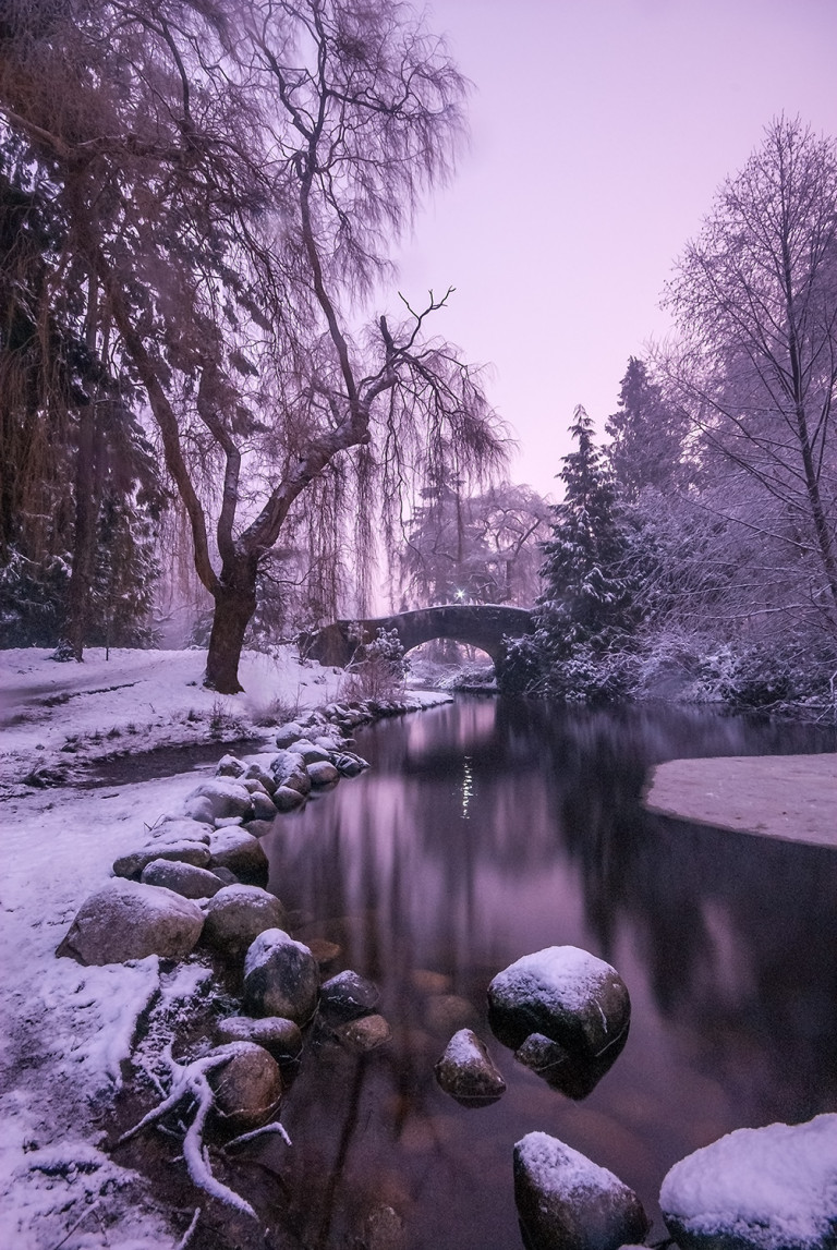 Wonderland